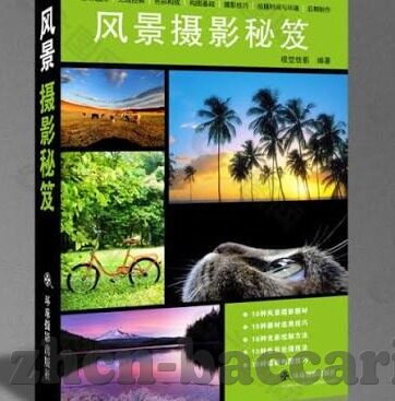 世界杯买彩票猜冠军-世界杯买彩票猜冠军，一场激情与智慧的博弈